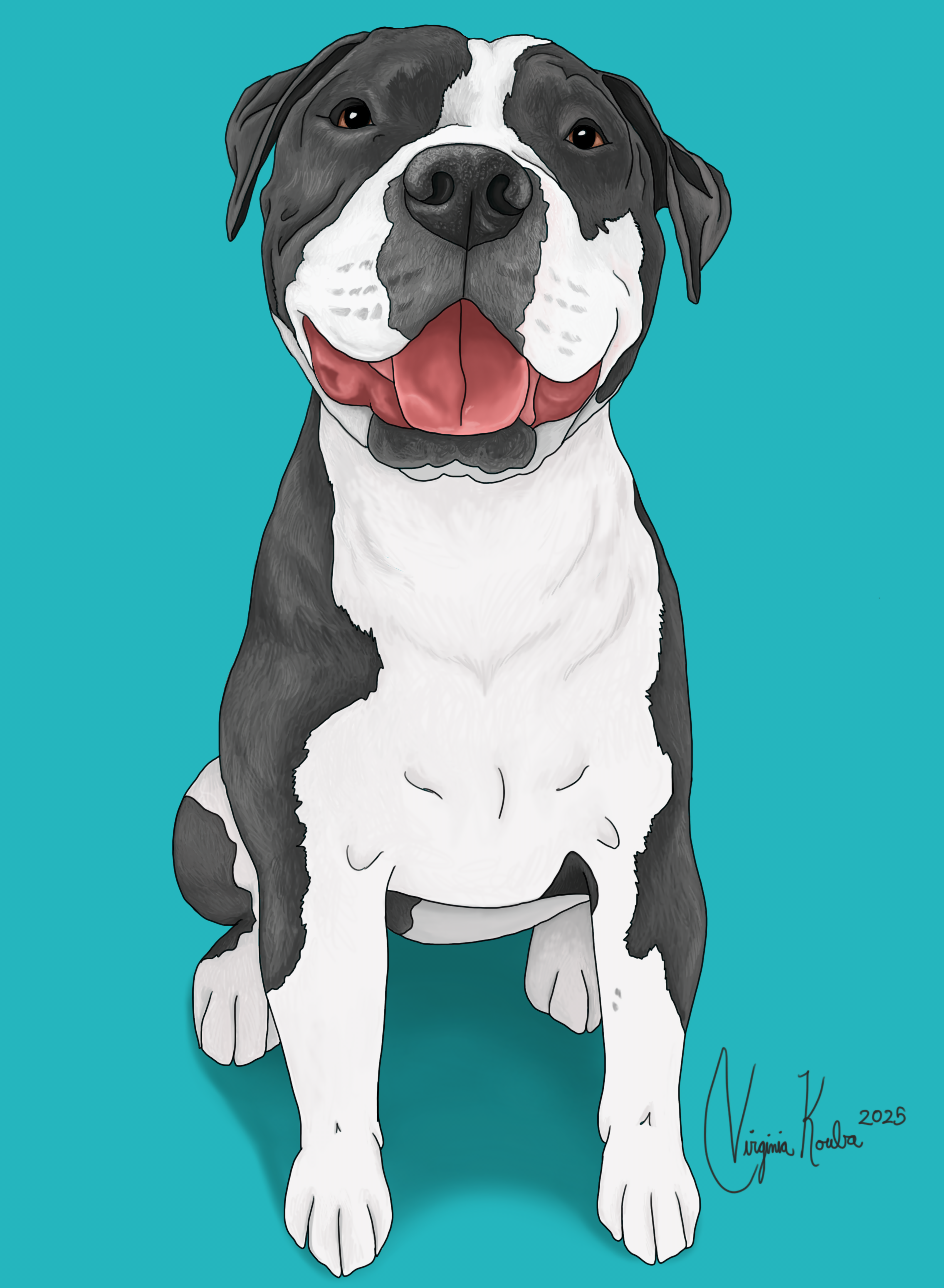 Black-and-white dog with big grin on a teal background
