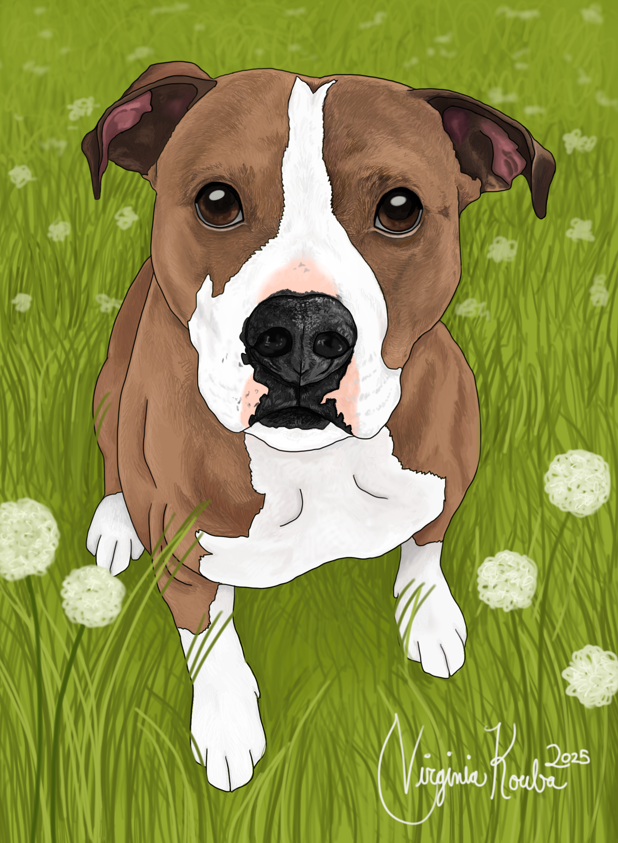 Brown-eyed dog sitting in grass with white puff dandelions