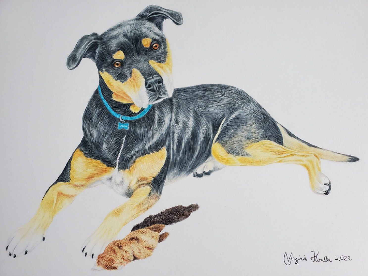 Dog laying down next to toy squirrel