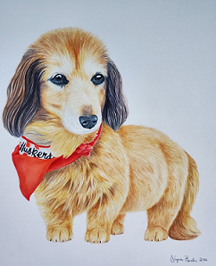 Small dog wearing a bandana