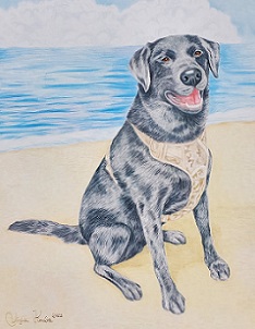 dog sitting on a beach